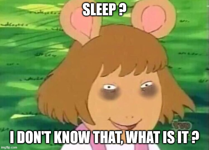 DW tired | SLEEP ? I DON'T KNOW THAT, WHAT IS IT ? | image tagged in dw tired,student life | made w/ Imgflip meme maker
