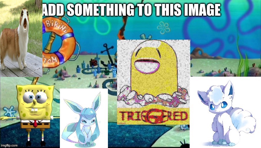 Cuz y not | image tagged in memes | made w/ Imgflip meme maker