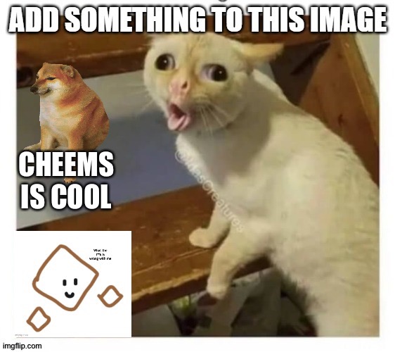. | CHEEMS IS COOL | made w/ Imgflip meme maker