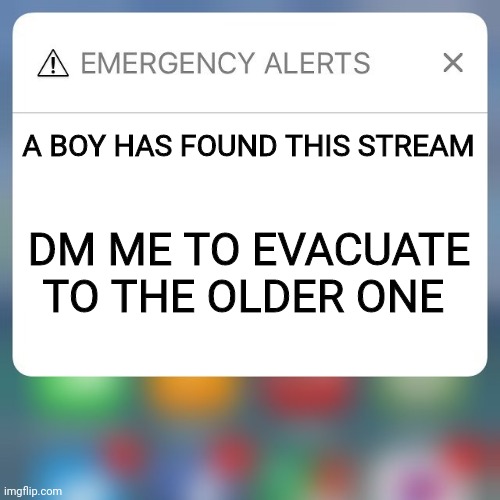 ACTUALLY I WILL DM YOU | A BOY HAS FOUND THIS STREAM; DM ME TO EVACUATE TO THE OLDER ONE | image tagged in emergency alert | made w/ Imgflip meme maker