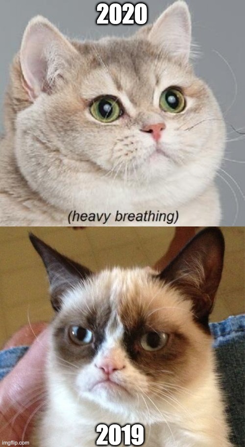 2020; 2019 | image tagged in memes,heavy breathing cat,grumpy cat | made w/ Imgflip meme maker