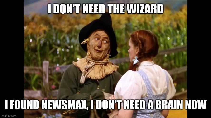 Fake views | I DON'T NEED THE WIZARD; I FOUND NEWSMAX, I DON'T NEED A BRAIN NOW | image tagged in wizard of oz scarecrow | made w/ Imgflip meme maker