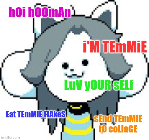 TEmMiE | hOi hOOmAn; i'M TEmMiE; LuV yOUR sELf; Eat TEmMiE FlAkeS; sEnd TEmMiE tO coLlaGE | image tagged in temmie | made w/ Imgflip meme maker