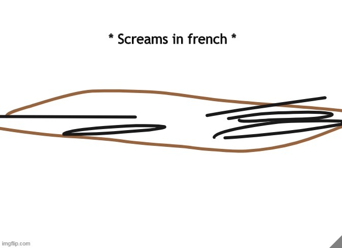 * Screams in french * | image tagged in screams in french | made w/ Imgflip meme maker