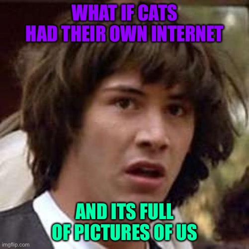 [insert creative title] | WHAT IF CATS HAD THEIR OWN INTERNET; AND ITS FULL OF PICTURES OF US | image tagged in memes,conspiracy keanu,gifs | made w/ Imgflip meme maker