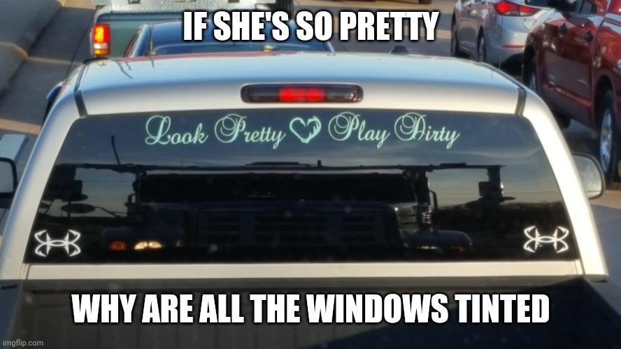 Look pretty play dirty | IF SHE'S SO PRETTY; WHY ARE ALL THE WINDOWS TINTED | image tagged in truck | made w/ Imgflip meme maker