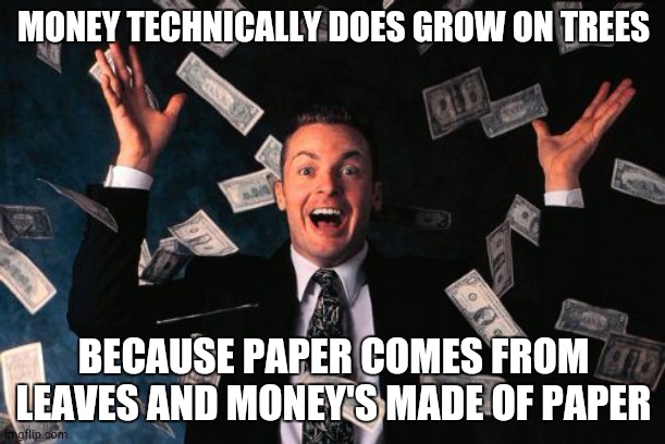 It's true | MONEY TECHNICALLY DOES GROW ON TREES; BECAUSE PAPER COMES FROM LEAVES AND MONEY'S MADE OF PAPER | image tagged in memes,money man | made w/ Imgflip meme maker