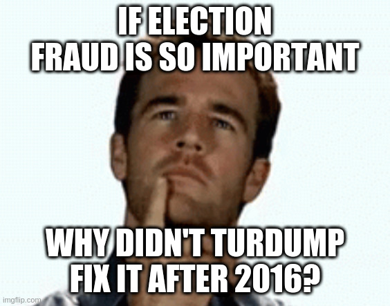 Turdump is a facist wolf sucking the teat of democracy dry | IF ELECTION FRAUD IS SO IMPORTANT; WHY DIDN'T TURDUMP FIX IT AFTER 2016? | image tagged in interesting,irony | made w/ Imgflip meme maker