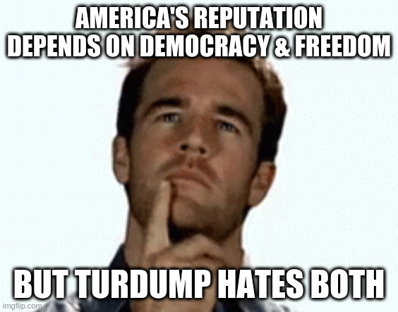 does that mean 70M people are stupid? | AMERICA'S REPUTATION DEPENDS ON DEMOCRACY & FREEDOM; BUT TURDUMP HATES BOTH | image tagged in interesting,rhetorical | made w/ Imgflip meme maker