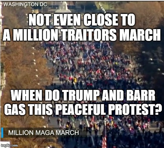 Anti-Patriotic Traitors Protest the American Democratic Voting System | NOT EVEN CLOSE TO A MILLION TRAITORS MARCH; WHEN DO TRUMP AND BARR GAS THIS PEACEFUL PROTEST? | image tagged in election fraud,aint nobody got time for that,conspiracy theory,no evidence,sore losers,trump goes to jail | made w/ Imgflip meme maker