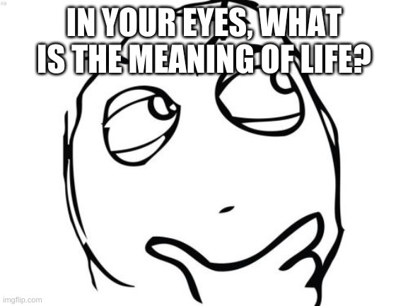 Question Rage Face | IN YOUR EYES, WHAT IS THE MEANING OF LIFE? | image tagged in memes,question rage face | made w/ Imgflip meme maker