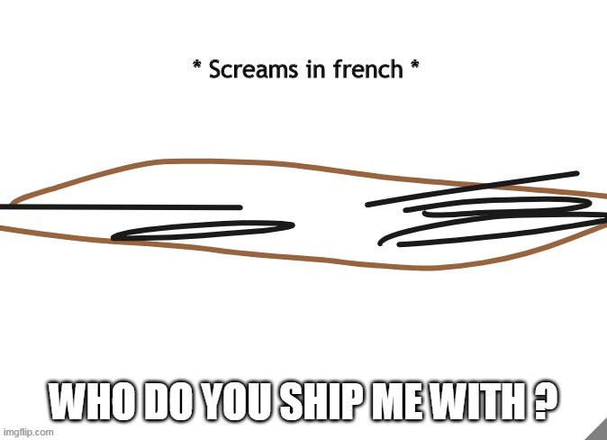* Screams in french * | WHO DO YOU SHIP ME WITH ? | image tagged in screams in french | made w/ Imgflip meme maker