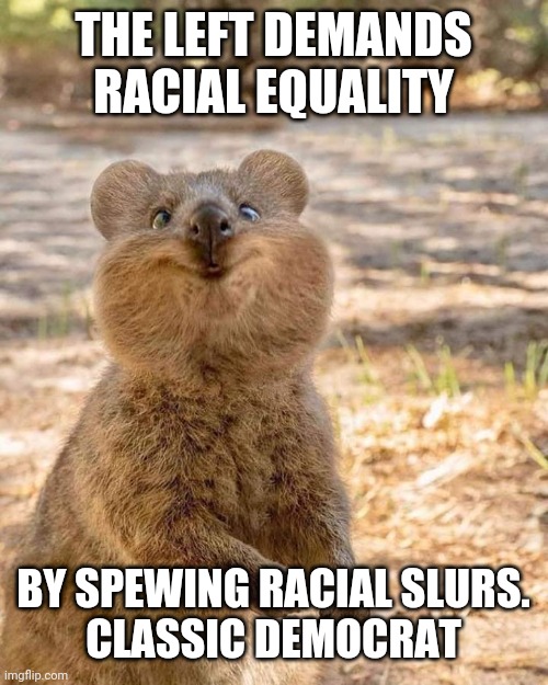 Crazy Wombat | THE LEFT DEMANDS RACIAL EQUALITY BY SPEWING RACIAL SLURS.

CLASSIC DEMOCRAT | image tagged in crazy wombat | made w/ Imgflip meme maker