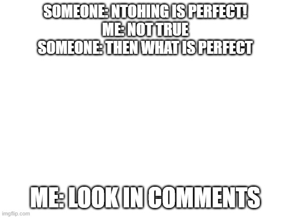 Blank White Template | SOMEONE: NTOHING IS PERFECT!
ME: NOT TRUE
SOMEONE: THEN WHAT IS PERFECT; ME: LOOK IN COMMENTS | image tagged in blank white template | made w/ Imgflip meme maker