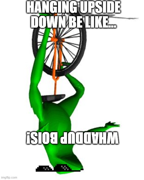 Dat Boi | HANGING UPSIDE DOWN BE LIKE... WHADDUP BOIS! | image tagged in memes,dat boi | made w/ Imgflip meme maker