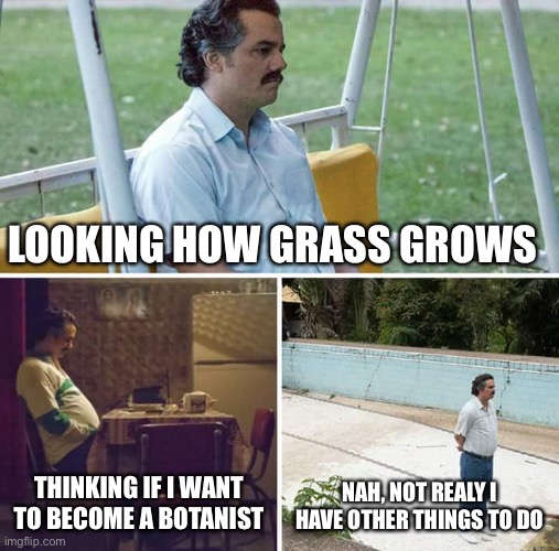 Sad Pablo Escobar | LOOKING HOW GRASS GROWS; THINKING IF I WANT TO BECOME A BOTANIST; NAH, NOT REALY I HAVE OTHER THINGS TO DO | image tagged in memes,sad pablo escobar | made w/ Imgflip meme maker