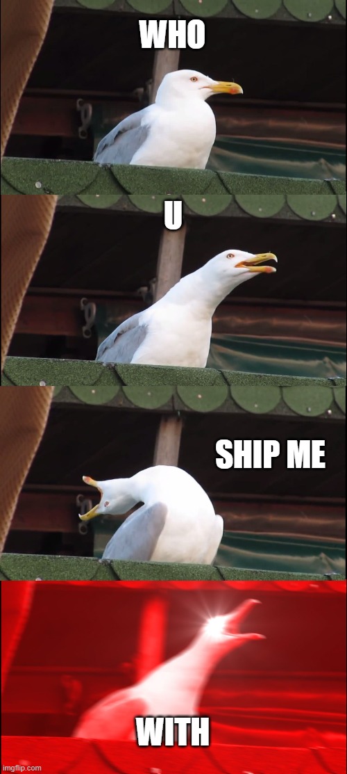 Inhaling Seagull | WHO; U; SHIP ME; WITH | image tagged in memes,inhaling seagull | made w/ Imgflip meme maker