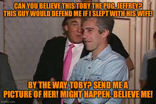 CAN YOU BELIEVE THIS TOBY THE PUG, JEFFREY? THIS GUY WOULD DEFEND ME IF I SLEPT WITH HIS WIFE! BY THE WAY, TOBY? SEND ME A PICTURE OF HER! M | made w/ Imgflip meme maker