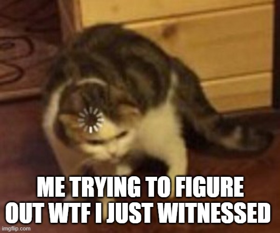 Loading cat | ME TRYING TO FIGURE OUT WTF I JUST WITNESSED | image tagged in loading cat | made w/ Imgflip meme maker