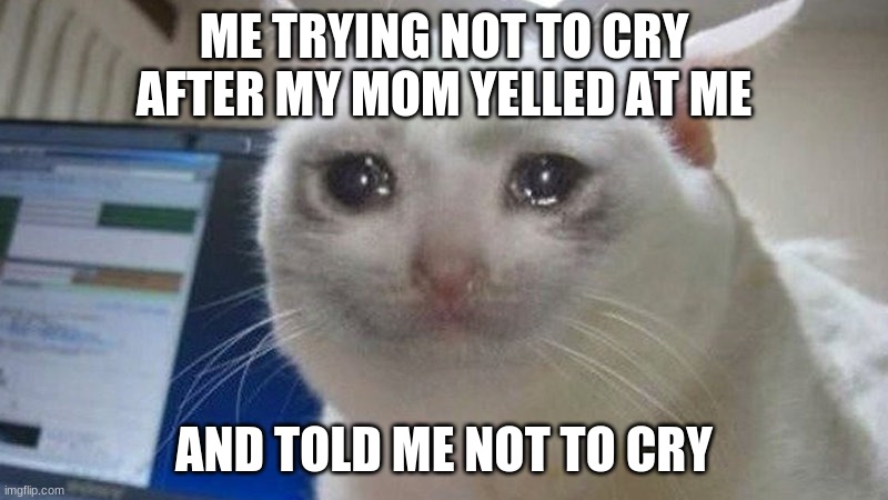 ME TRYING NOT TO CRY AFTER MY MOM YELLED AT ME; AND TOLD ME NOT TO CRY | image tagged in toxic | made w/ Imgflip meme maker