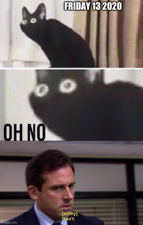 FRIDAY 13 2020 | image tagged in oh no cat,michael dont | made w/ Imgflip meme maker