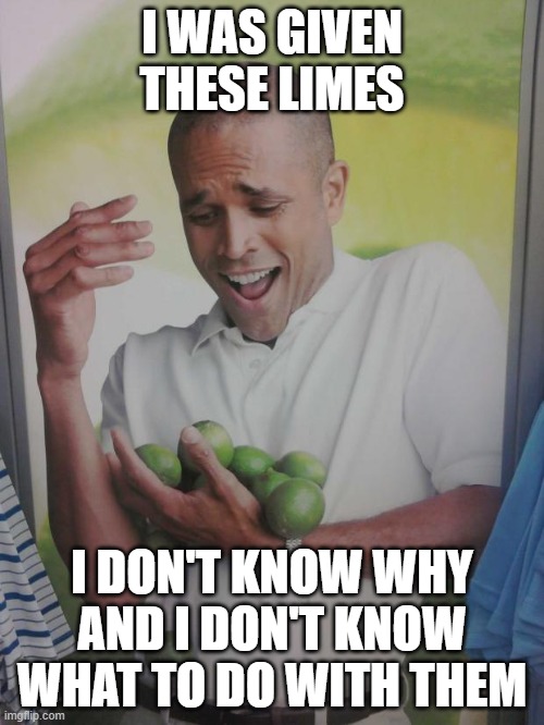 Why Can't I Hold All These Limes Meme | I WAS GIVEN THESE LIMES; I DON'T KNOW WHY AND I DON'T KNOW WHAT TO DO WITH THEM | image tagged in memes,why can't i hold all these limes | made w/ Imgflip meme maker