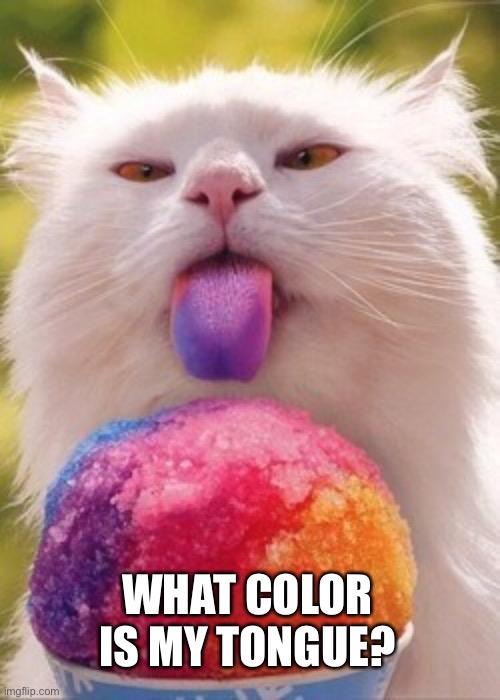 I Used to Ask The Same Question Whenever I Was Eating Razzles | WHAT COLOR IS MY TONGUE? | image tagged in funny memes,funny cat memes,funny,cats,funny cats | made w/ Imgflip meme maker