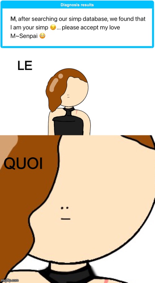 “The what” in French | LE; QUOI | made w/ Imgflip meme maker