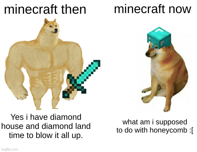 Buff Doge vs. Cheems | minecraft then; minecraft now; Yes i have diamond house and diamond land time to blow it all up. what am i supposed to do with honeycomb :[ | image tagged in memes,buff doge vs cheems,minecraft memes,funny | made w/ Imgflip meme maker