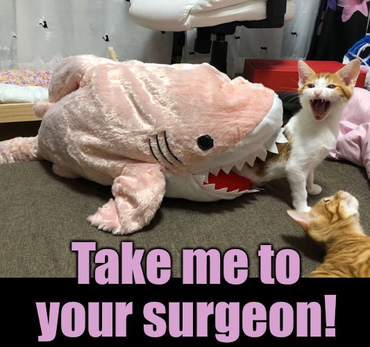 Take me to your surgeon! | made w/ Imgflip meme maker