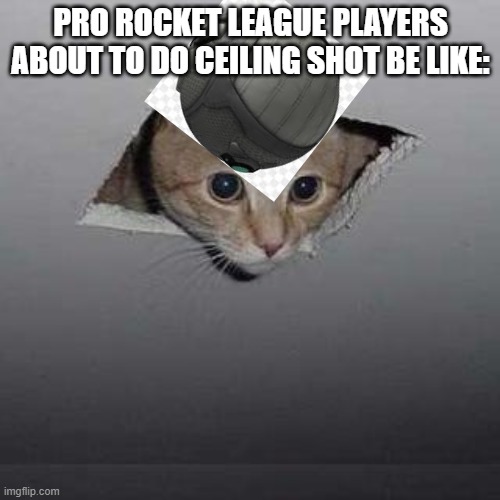 Ceiling Cat Meme | PRO ROCKET LEAGUE PLAYERS ABOUT TO DO CEILING SHOT BE LIKE: | image tagged in memes,ceiling cat | made w/ Imgflip meme maker