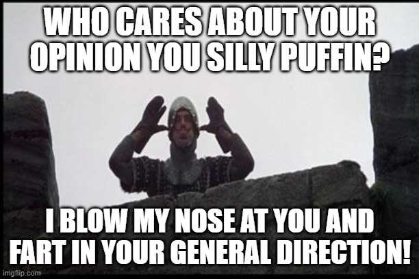 French Taunting in Monty Python's Holy Grail | WHO CARES ABOUT YOUR OPINION YOU SILLY PUFFIN? I BLOW MY NOSE AT YOU AND FART IN YOUR GENERAL DIRECTION! | image tagged in french taunting in monty python's holy grail | made w/ Imgflip meme maker
