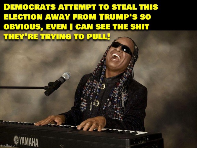 So obvious even a blind man can see it | image tagged in election fraud,democrats,corruption,2020 elections,political,politics | made w/ Imgflip meme maker