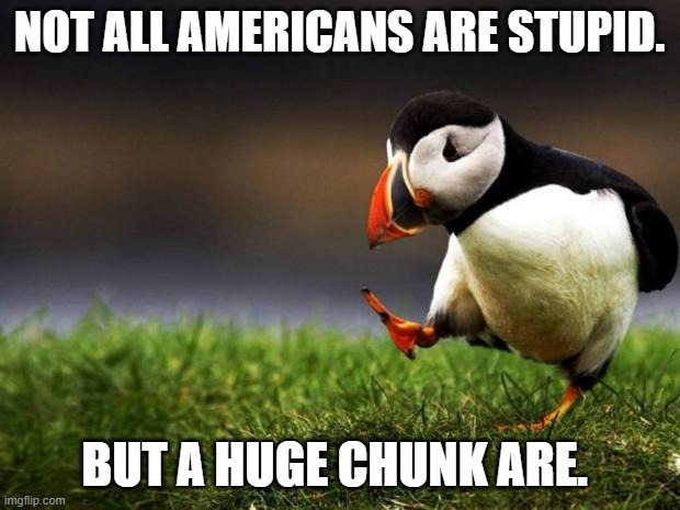 Other countries stereotyping Americans | NOT ALL AMERICANS ARE STUPID. BUT A HUGE CHUNK ARE. | image tagged in memes,unpopular opinion puffin,stereotypes,america | made w/ Imgflip meme maker