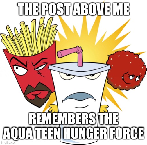 Aqua Teen Hunger Force | THE POST ABOVE ME; REMEMBERS THE AQUA TEEN HUNGER FORCE | image tagged in aqua teen hunger force | made w/ Imgflip meme maker