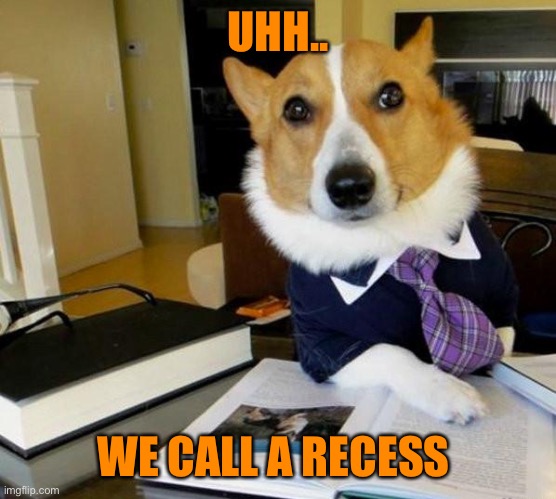 Lawyer Corgi Dog | UHH.. WE CALL A RECESS | image tagged in lawyer corgi dog | made w/ Imgflip meme maker