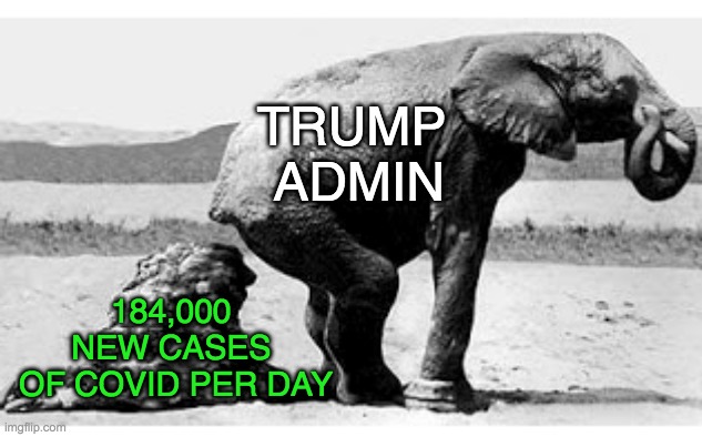 That's quite a load they're leaving | TRUMP 
ADMIN; 184,000 
NEW CASES 
OF COVID PER DAY | image tagged in covid,covidiots,november,2020,trump | made w/ Imgflip meme maker
