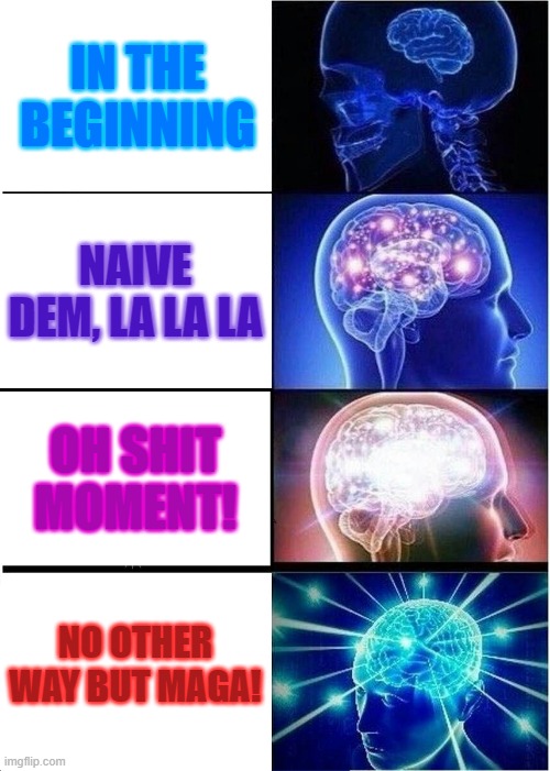 Red pilled Maga | IN THE BEGINNING; NAIVE DEM, LA LA LA; OH SHIT MOMENT! NO OTHER WAY BUT MAGA! | image tagged in memes,expanding brain | made w/ Imgflip meme maker