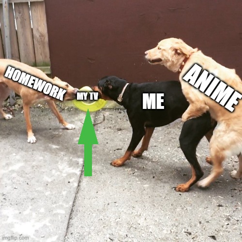 Homework vs Me And Anime | ANIME; HOMEWORK; MY TV; ME | image tagged in one sided dog fight | made w/ Imgflip meme maker