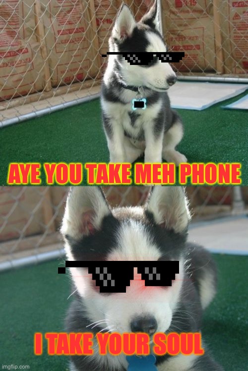 Insanity Puppy | AYE YOU TAKE MEH PHONE; I TAKE YOUR SOUL | image tagged in memes,insanity puppy | made w/ Imgflip meme maker