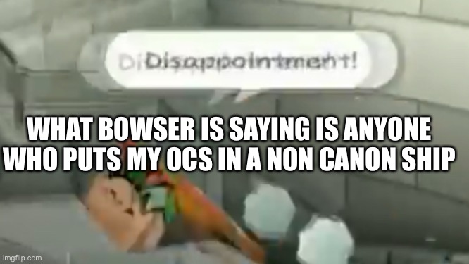 WHAT BOWSER IS SAYING IS ANYONE WHO PUTS MY OCS IN A NON CANON SHIP | made w/ Imgflip meme maker