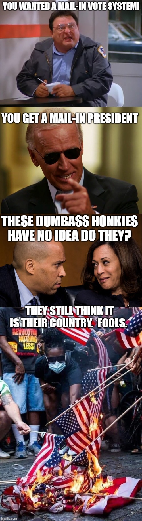 Those who think they win actually lose. | YOU WANTED A MAIL-IN VOTE SYSTEM! YOU GET A MAIL-IN PRESIDENT; THESE DUMBASS HONKIES HAVE NO IDEA DO THEY? THEY STILL THINK IT IS THEIR COUNTRY.  FOOLS. | image tagged in newman angry mailman,cool joe biden,corey booker and kamala harris,flag burners | made w/ Imgflip meme maker