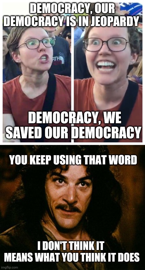 Definition of liberal democracy = do and agree with what we say | DEMOCRACY, OUR DEMOCRACY IS IN JEOPARDY; DEMOCRACY, WE SAVED OUR DEMOCRACY; YOU KEEP USING THAT WORD; I DON'T THINK IT  MEANS WHAT YOU THINK IT DOES | image tagged in social justice warrior hypocrisy | made w/ Imgflip meme maker