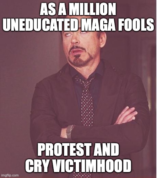 Face You Make Robert Downey Jr Meme | AS A MILLION UNEDUCATED MAGA FOOLS PROTEST AND CRY VICTIMHOOD | image tagged in memes,face you make robert downey jr | made w/ Imgflip meme maker