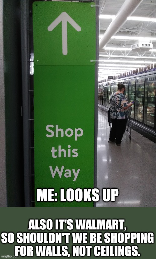 ME: LOOKS UP; ALSO IT'S WALMART, SO SHOULDN'T WE BE SHOPPING FOR WALLS, NOT CEILINGS. | made w/ Imgflip meme maker