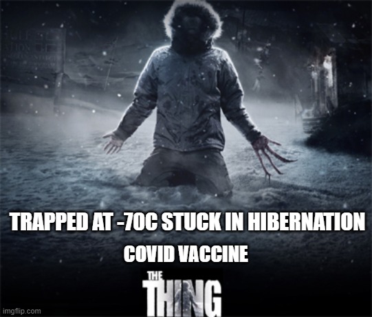 covid 19 | TRAPPED AT -70C STUCK IN HIBERNATION; COVID VACCINE | image tagged in covid 19,vaccines,bill gates loves vaccines,the thing | made w/ Imgflip meme maker