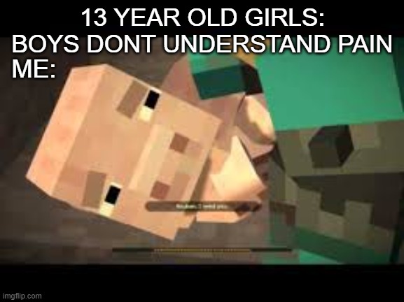 Reuben, No!!! | 13 YEAR OLD GIRLS: BOYS DONT UNDERSTAND PAIN; ME: | image tagged in minecraft | made w/ Imgflip meme maker