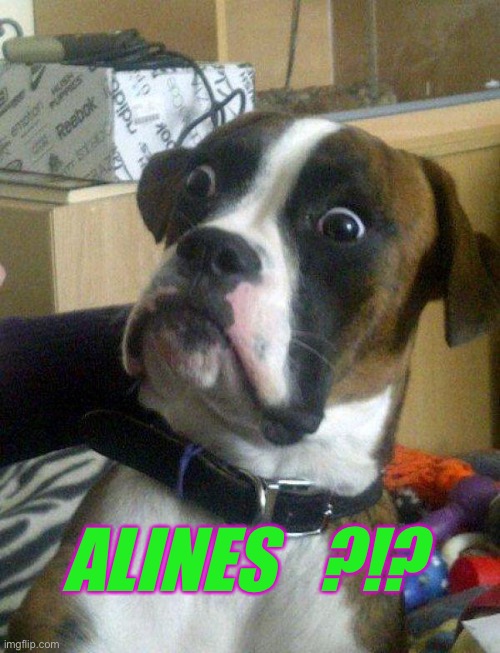 Blankie the Shocked Dog | ALINES   ?!? | image tagged in blankie the shocked dog | made w/ Imgflip meme maker