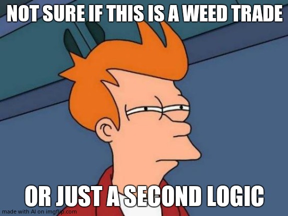 HOLD THE HELL UP! | NOT SURE IF THIS IS A WEED TRADE; OR JUST A SECOND LOGIC | image tagged in memes,futurama fry | made w/ Imgflip meme maker