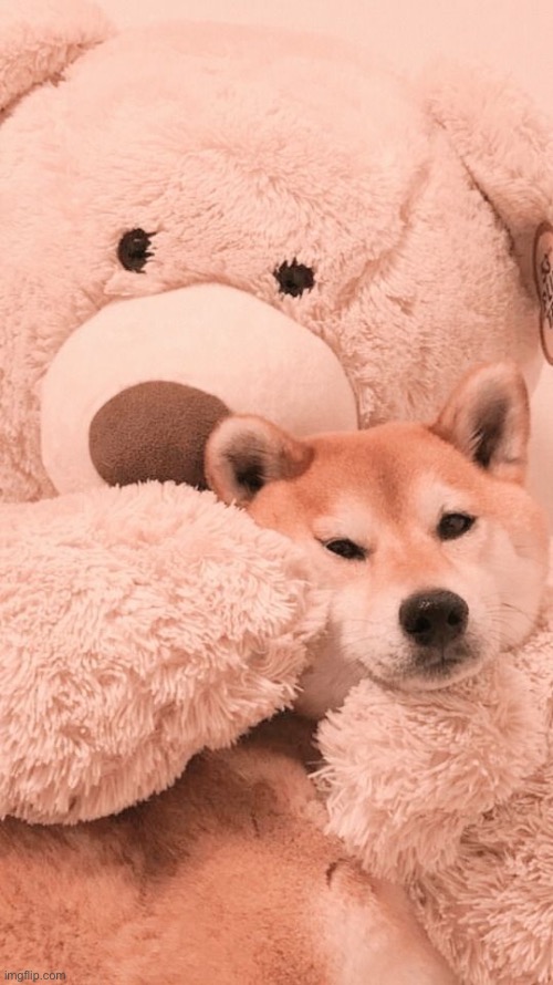 The steam is very wholesome rn | made w/ Imgflip meme maker